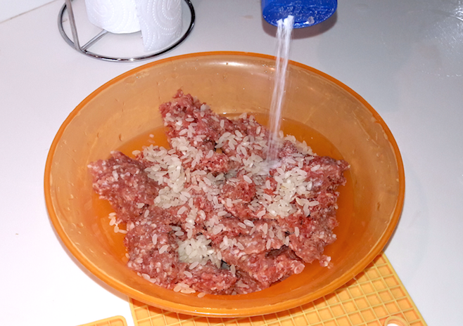 ground beef mixture with rice