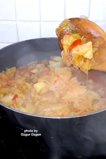 making cabbage stew with meat